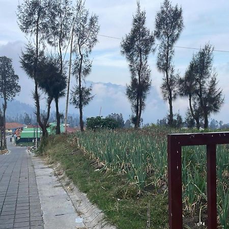 Bromo Semesta Guesthouse Probolinggo Exterior photo