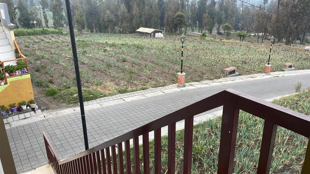 Bromo Semesta Guesthouse Probolinggo Exterior photo